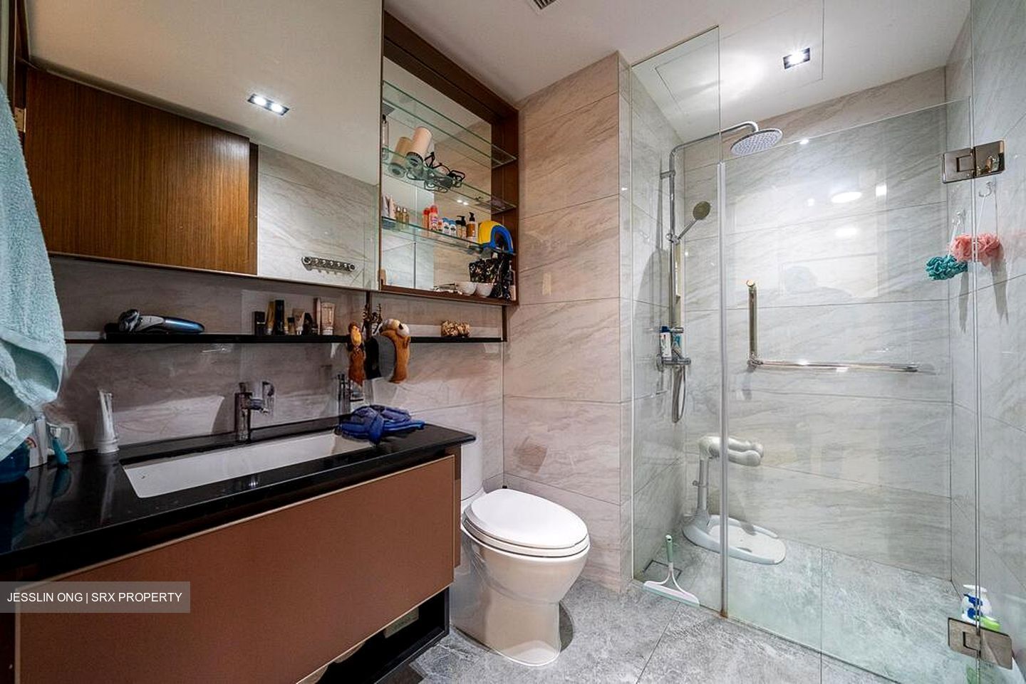Normanton Park (D5), Apartment #512128561